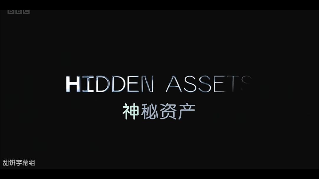 神秘资产Hidden Assets(2021)插图2%4K电影下载_3D影视资源_杜比视界迅雷下载
