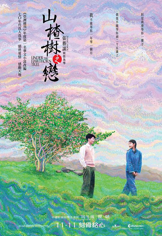 山楂树之恋Under the Hawthorn Tree(2010)插图%4K电影下载_3D影视资源_杜比视界迅雷下载