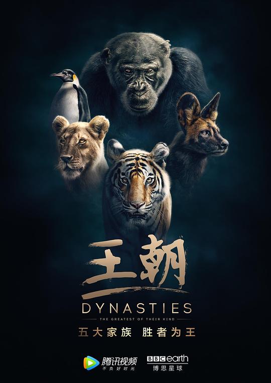 王朝Dynasties(2018 – 2022)插图%4K电影下载_3D影视资源_杜比视界迅雷下载