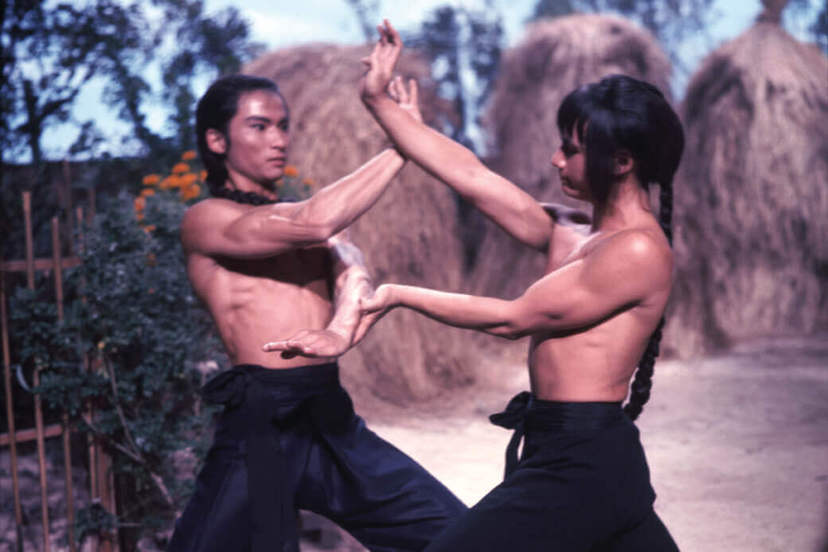 洪拳与咏春Hong quan yu yong chun(1974)插图1%4K电影下载_3D影视资源_杜比视界迅雷下载