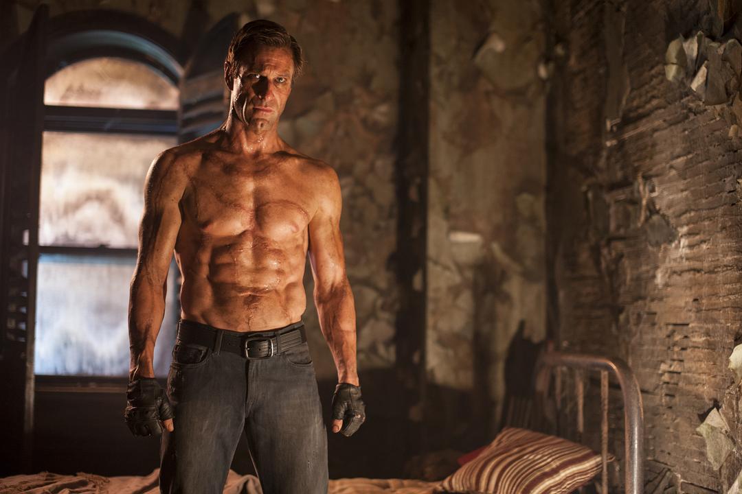 屠魔战士I, Frankenstein(2014)插图2%4K电影下载_3D影视资源_杜比视界迅雷下载
