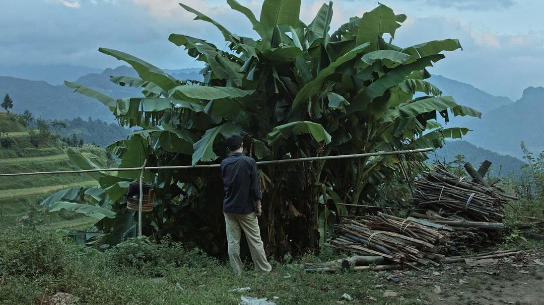 路边野餐Kaili Blues(2015)插图2%4K电影下载_3D影视资源_杜比视界迅雷下载