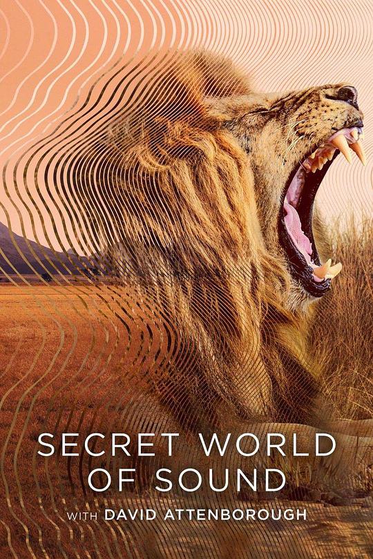 大卫·艾登堡：大自然的声音Secret World of Sound with David Attenborough(2024)插图%4K电影下载_3D影视资源_杜比视界迅雷下载