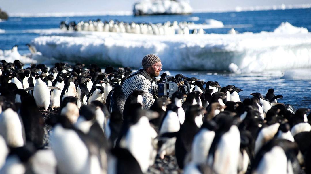 冰冻星球Frozen Planet(2011)插图2%4K电影下载_3D影视资源_杜比视界迅雷下载