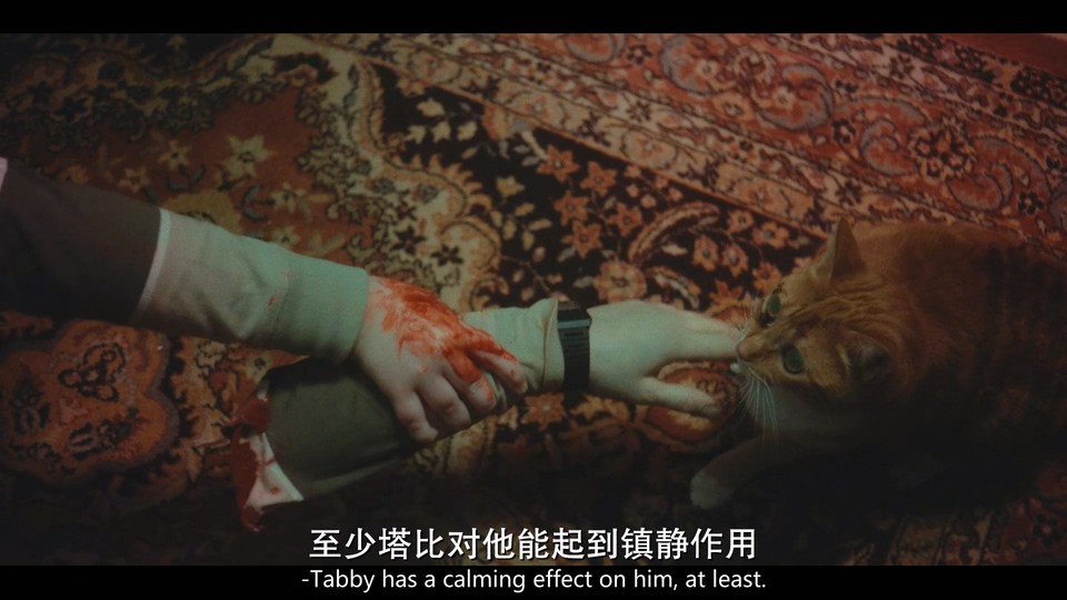 恐吓包裹2：火辣查德的复仇Scare Package II: Rad Chad’s Revenge(2022)插图1%4K电影下载_3D影视资源_杜比视界迅雷下载