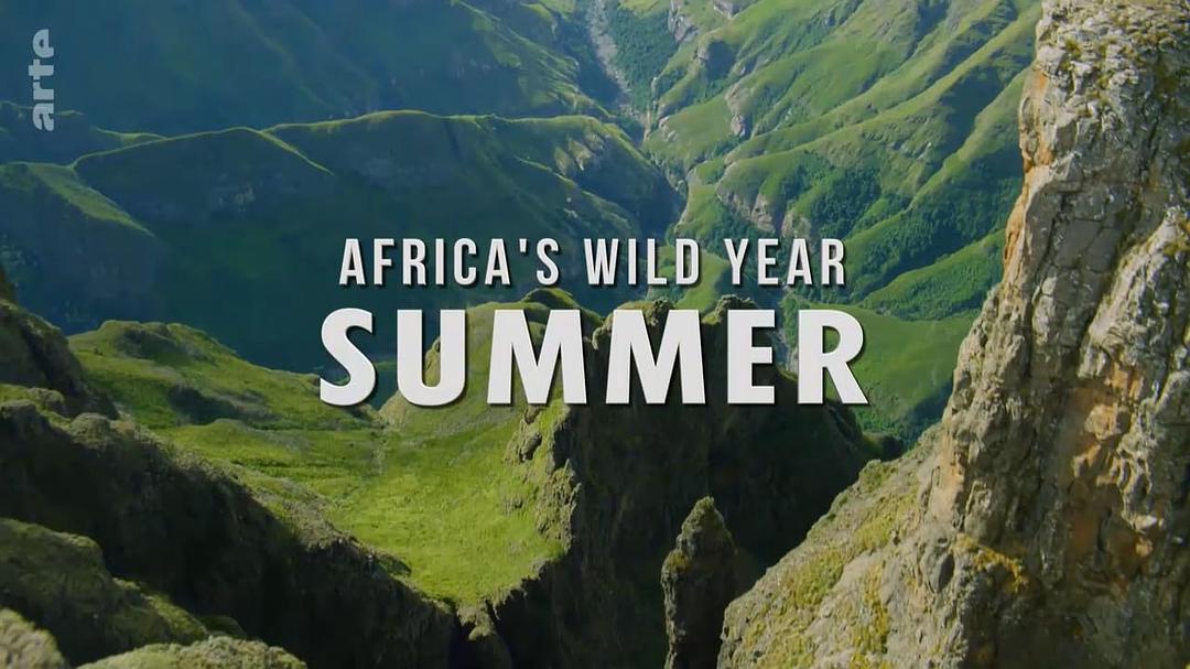 狂野非洲-四季Africa’s wild year(2021)插图2%4K电影下载_3D影视资源_杜比视界迅雷下载
