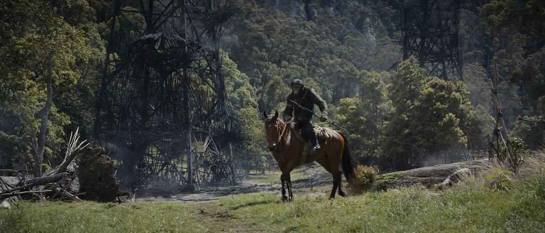 猩球崛起：新世界Kingdom of the Planet of the Apes(2024)插图1%4K电影下载_3D影视资源_杜比视界迅雷下载
