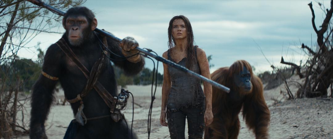 猩球崛起：新世界Kingdom of the Planet of the Apes(2024)插图2%4K电影下载_3D影视资源_杜比视界迅雷下载