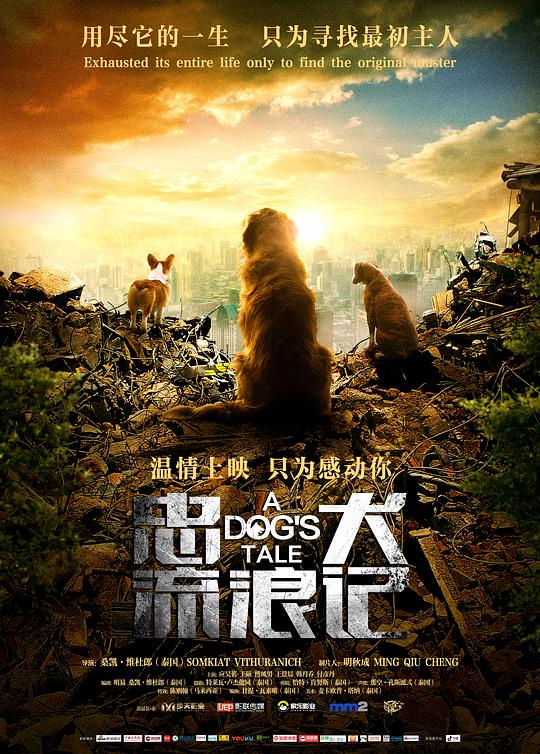 忠犬流浪记A Dog’s Tale(2021)插图%4K电影下载_3D影视资源_杜比视界迅雷下载