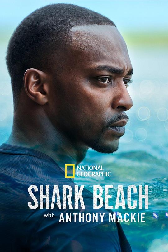 安东尼·麦凯的鲨滩Shark Beach with Anthony Mackie(2024)插图%4K电影下载_3D影视资源_杜比视界迅雷下载