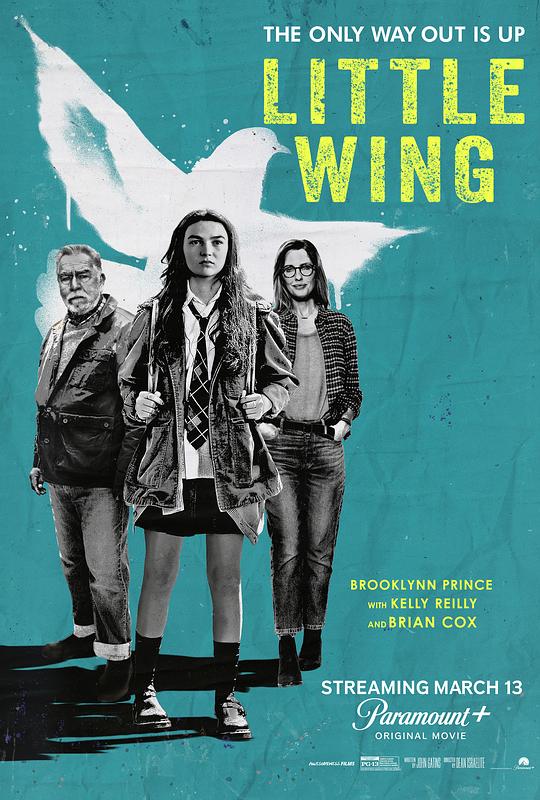 小翅膀Little Wing(2024)插图%4K电影下载_3D影视资源_杜比视界迅雷下载