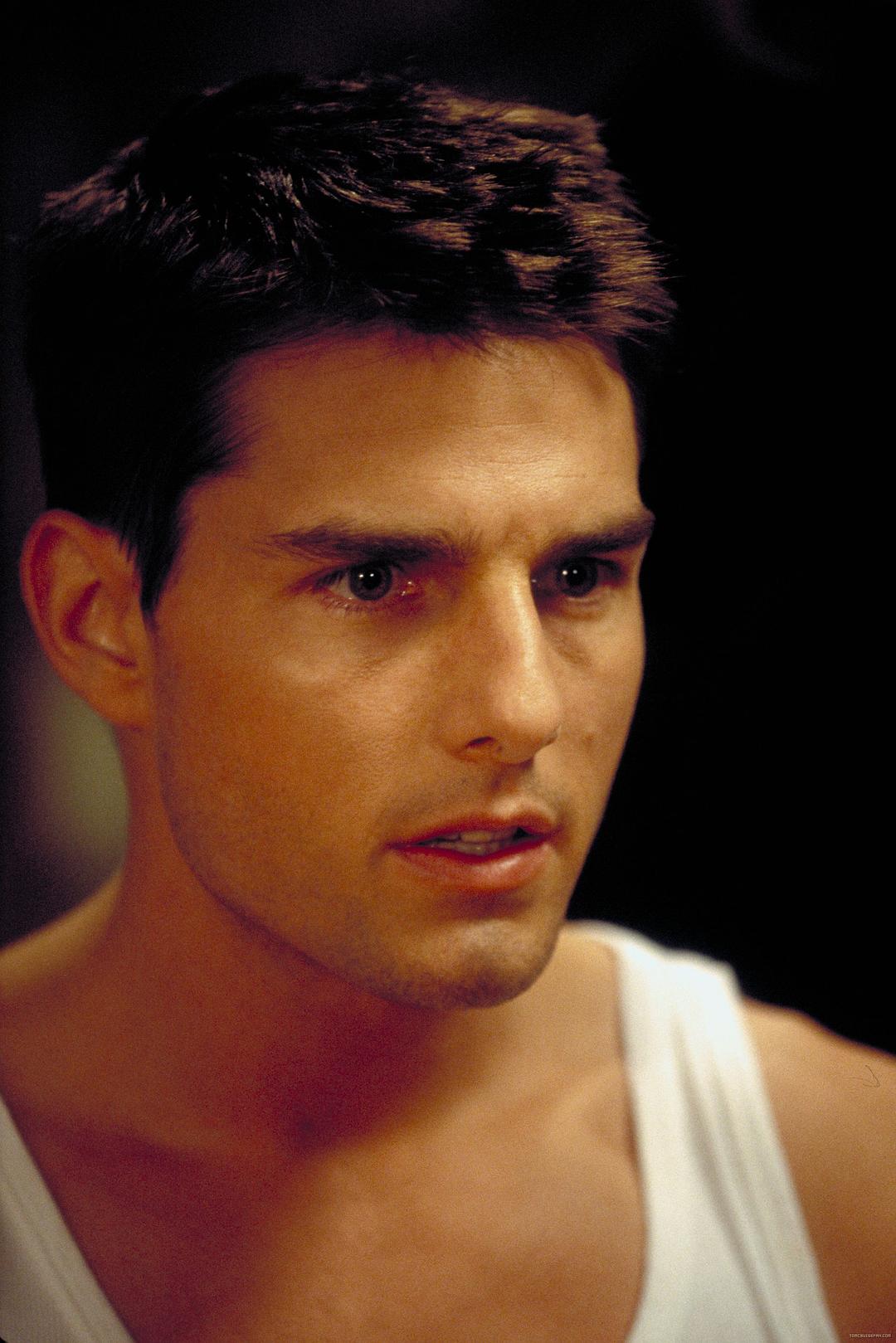 碟中谍Mission: Impossible(1996)插图2%4K电影下载_3D影视资源_杜比视界迅雷下载