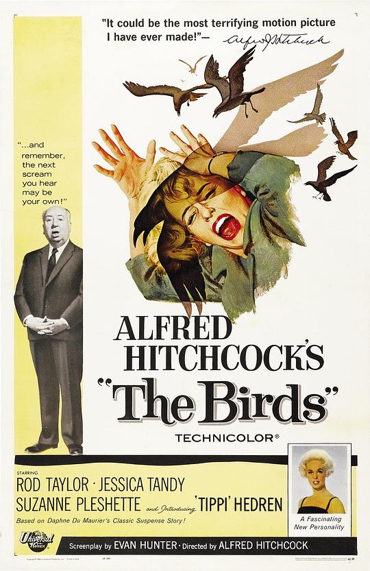 群鸟The Birds(1963)插图%4K电影下载_3D影视资源_杜比视界迅雷下载