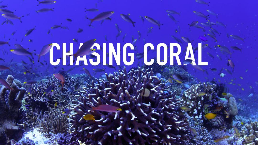 追逐珊瑚Chasing Coral(2017)插图2%4K电影下载_3D影视资源_杜比视界迅雷下载