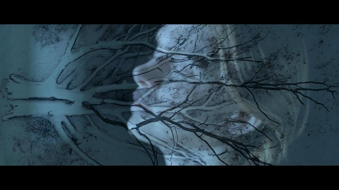 饶恕我们的罪Forgive Us Our Trespasses(2022)插图1%4K电影下载_3D影视资源_杜比视界迅雷下载
