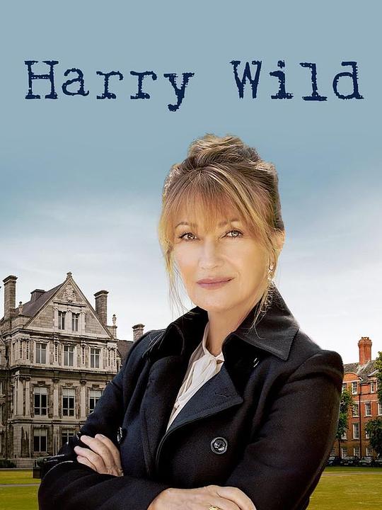 哈丽·怀尔德Harry Wild(2022)插图%4K电影下载_3D影视资源_杜比视界迅雷下载