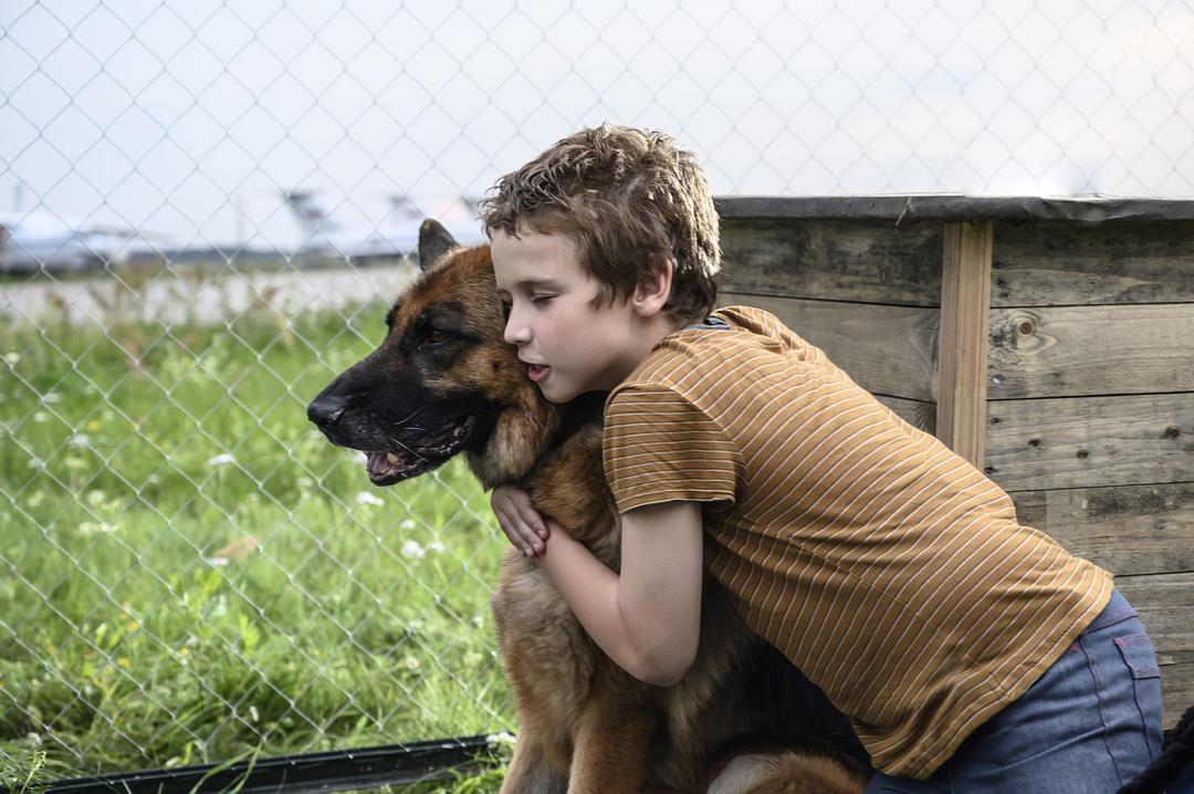 忠犬帕尔玛Palma(2021)插图1%4K电影下载_3D影视资源_杜比视界迅雷下载