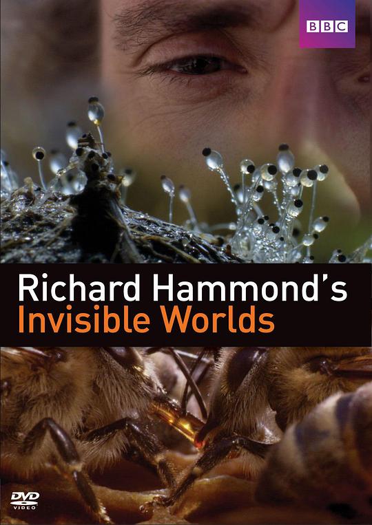 理查德·哈蒙德：看不见的世界Richard Hammond’s Invisible Worlds(2010)插图%4K电影下载_3D影视资源_杜比视界迅雷下载