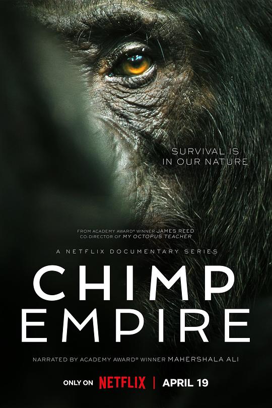黑猩猩帝国Chimp Empire(2023)插图%4K电影下载_3D影视资源_杜比视界迅雷下载
