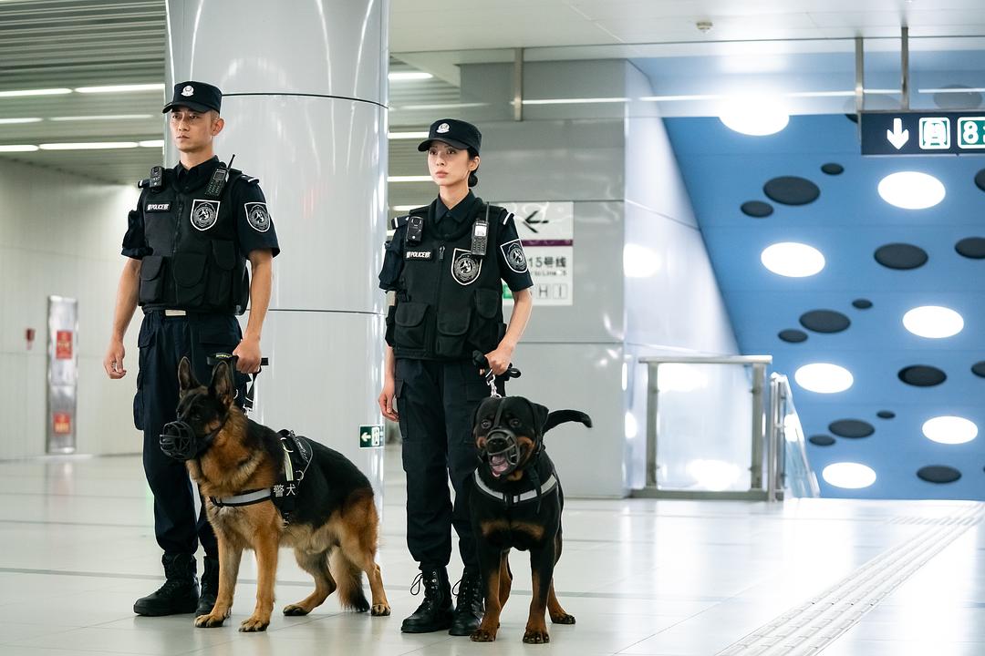 七小汪警犬队(2023)插图1%4K电影下载_3D影视资源_杜比视界迅雷下载