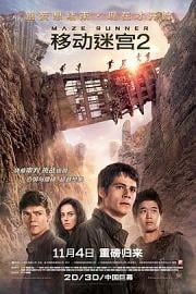 移动迷宫2Maze Runner: The Scorch Trials(2015)插图%4K电影下载_3D影视资源_杜比视界迅雷下载
