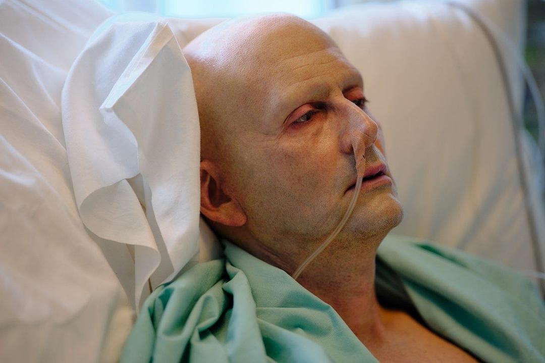 利特维年科Litvinenko(2022)插图1%4K电影下载_3D影视资源_杜比视界迅雷下载