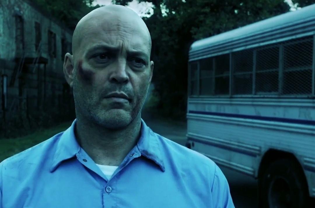 困斗99号囚室Brawl in Cell Block 99(2017)插图1%4K电影下载_3D影视资源_杜比视界迅雷下载