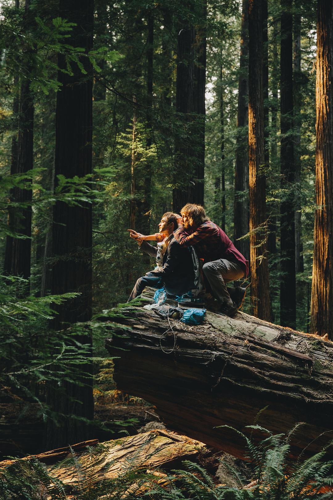 瑞士军刀男Swiss Army Man(2016)插图1%4K电影下载_3D影视资源_杜比视界迅雷下载