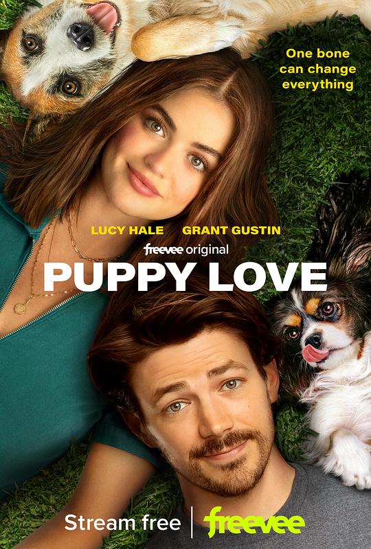 小狗之爱Puppy Love(2023)插图%4K电影下载_3D影视资源_杜比视界迅雷下载