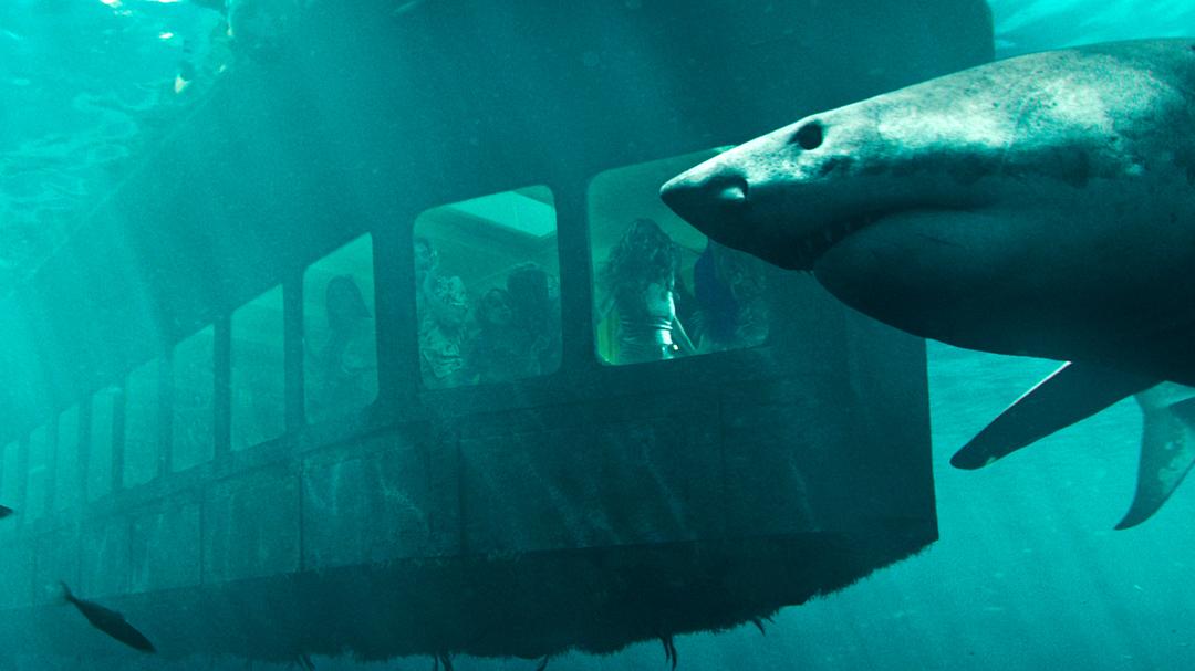 鲨海逃生47 Meters Down: Uncaged(2019)插图2%4K电影下载_3D影视资源_杜比视界迅雷下载