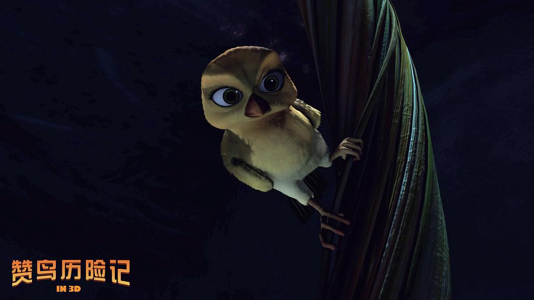 赞鸟历险记Zambezia(2012)插图2%4K电影下载_3D影视资源_杜比视界迅雷下载