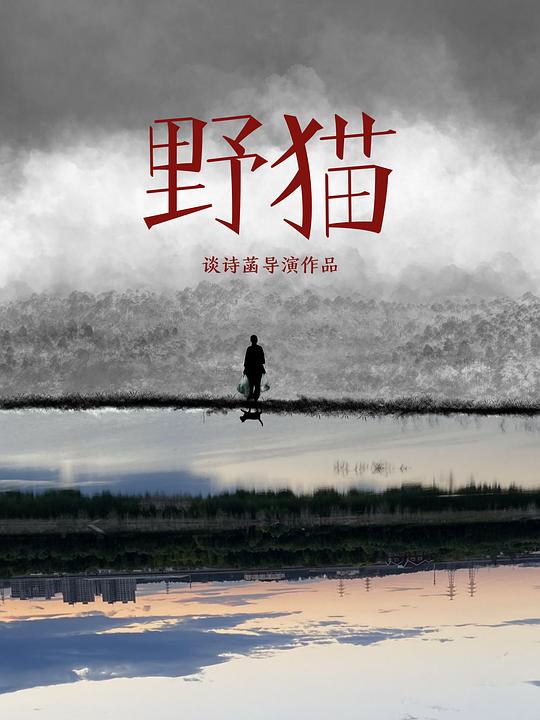 野猫Wildcat(2022)插图%4K电影下载_3D影视资源_杜比视界迅雷下载