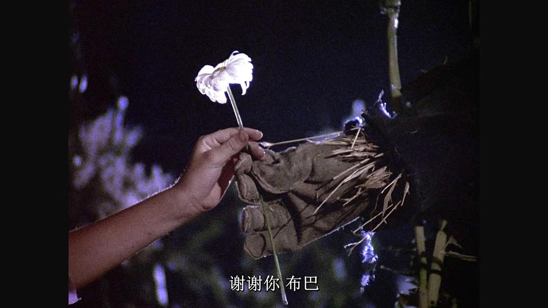 稻草人的黑夜Dark Night of the Scarecrow(1981)插图1%4K电影下载_3D影视资源_杜比视界迅雷下载