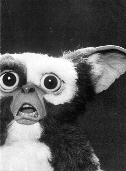 小精灵Gremlins(1984)插图1%4K电影下载_3D影视资源_杜比视界迅雷下载