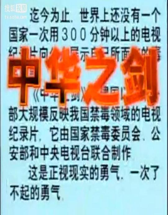 中华之剑Zhong Hua Zhi Jian(1995)插图%4K电影下载_3D影视资源_杜比视界迅雷下载