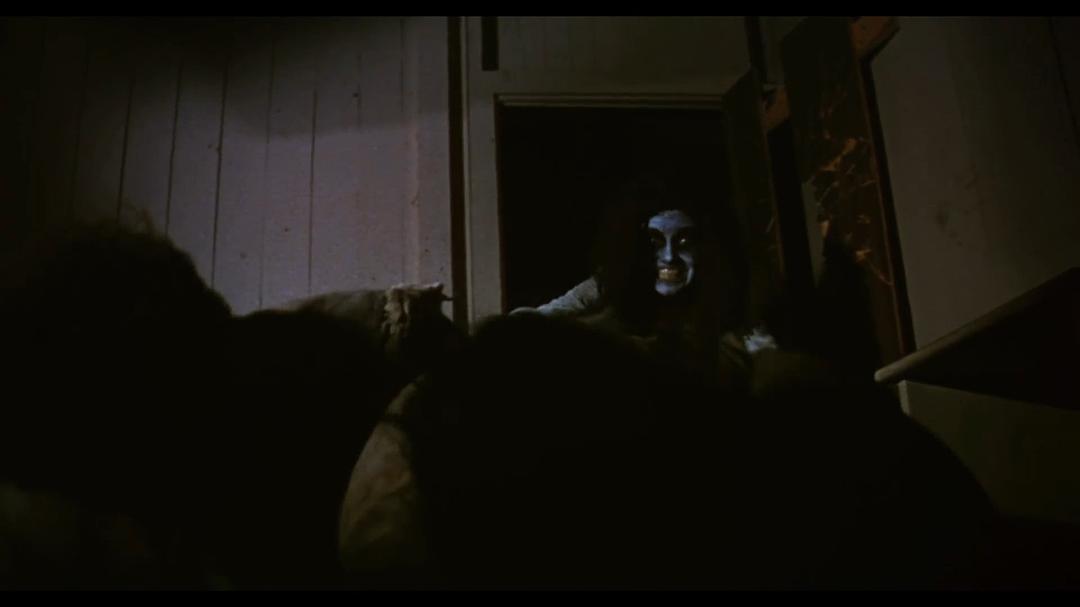孩子不能同鬼玩Children Shouldn’t Play with Dead Things(1973)插图2%4K电影下载_3D影视资源_杜比视界迅雷下载