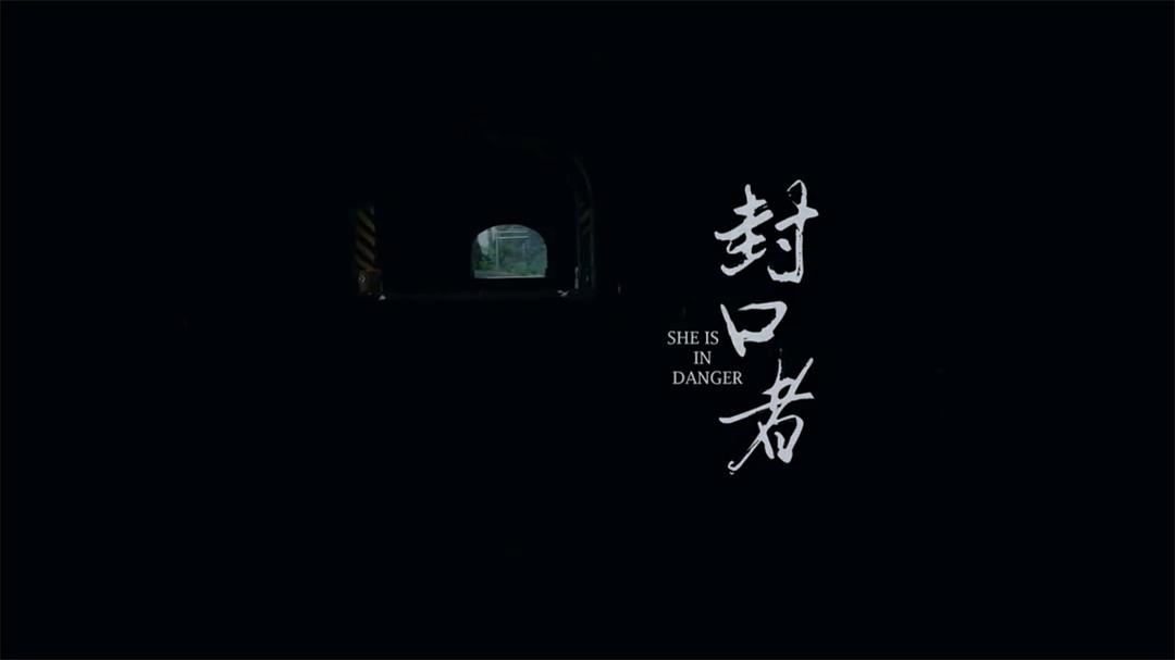 封口者She is in Danger(2020)插图2%4K电影下载_3D影视资源_杜比视界迅雷下载