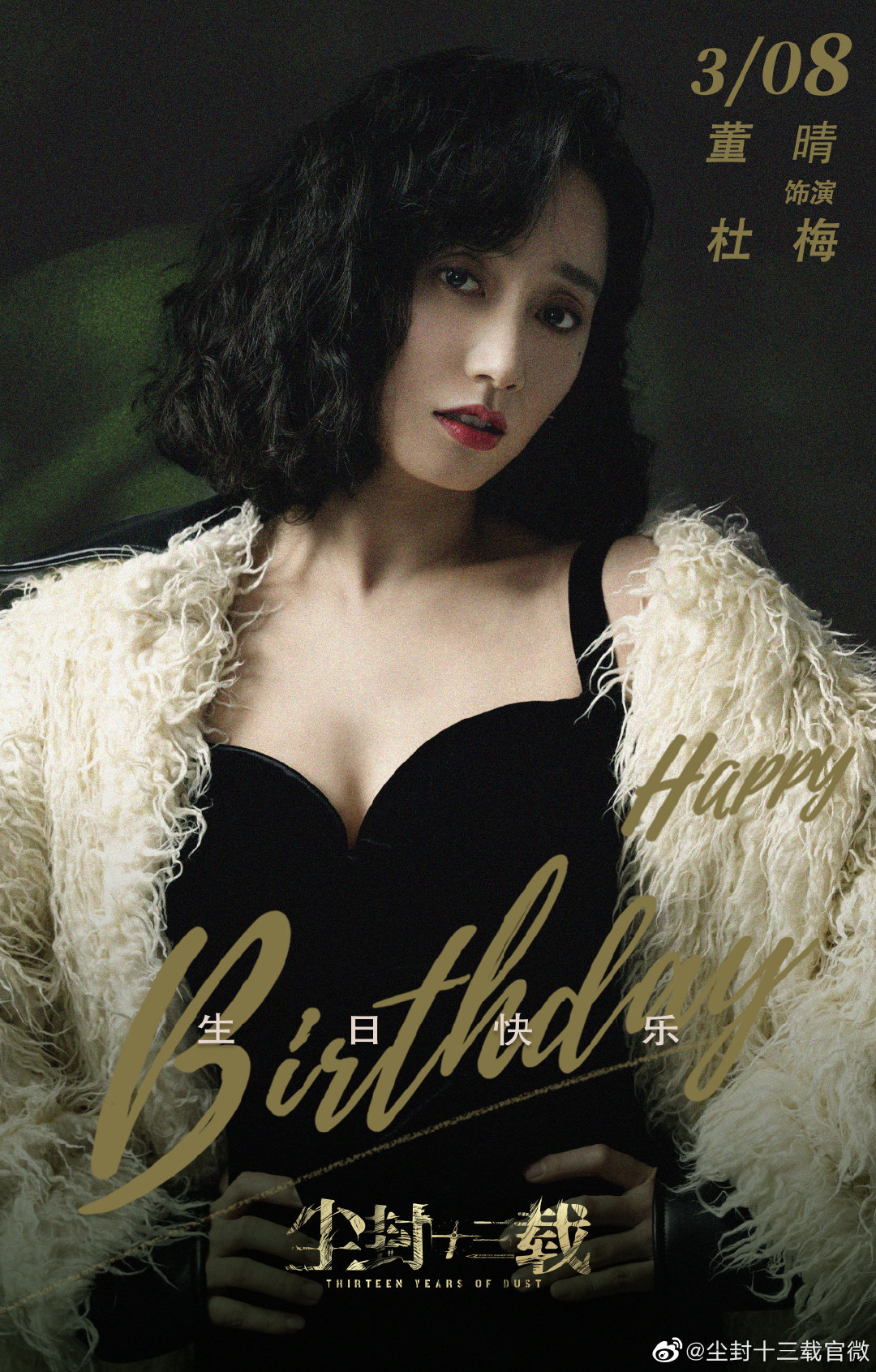 尘封十三载Chen Feng Shi San Zai(2023)插图1%4K电影下载_3D影视资源_杜比视界迅雷下载