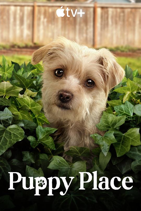 狗狗天地Puppy Place(2021 – 2022)插图%4K电影下载_3D影视资源_杜比视界迅雷下载