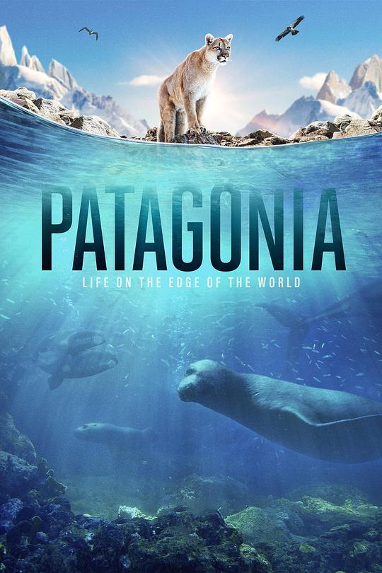 巴塔哥尼亚：世界边缘的生活Patagonia: Life on the Edge of the World(2022)插图%4K电影下载_3D影视资源_杜比视界迅雷下载