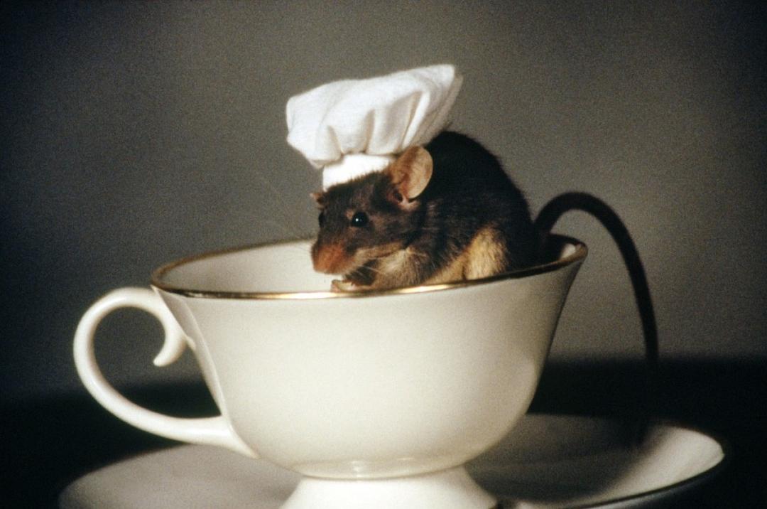 捕鼠记Mousehunt(1997)插图1%4K电影下载_3D影视资源_杜比视界迅雷下载