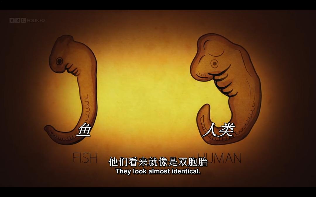 你体内的鱼Your Inner Fish(2014)插图2%4K电影下载_3D影视资源_杜比视界迅雷下载