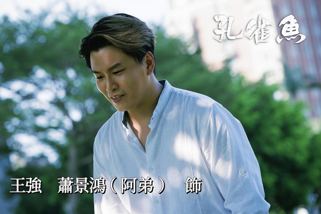 孔雀鱼孔雀魚(2024)插图1%4K电影下载_3D影视资源_杜比视界迅雷下载
