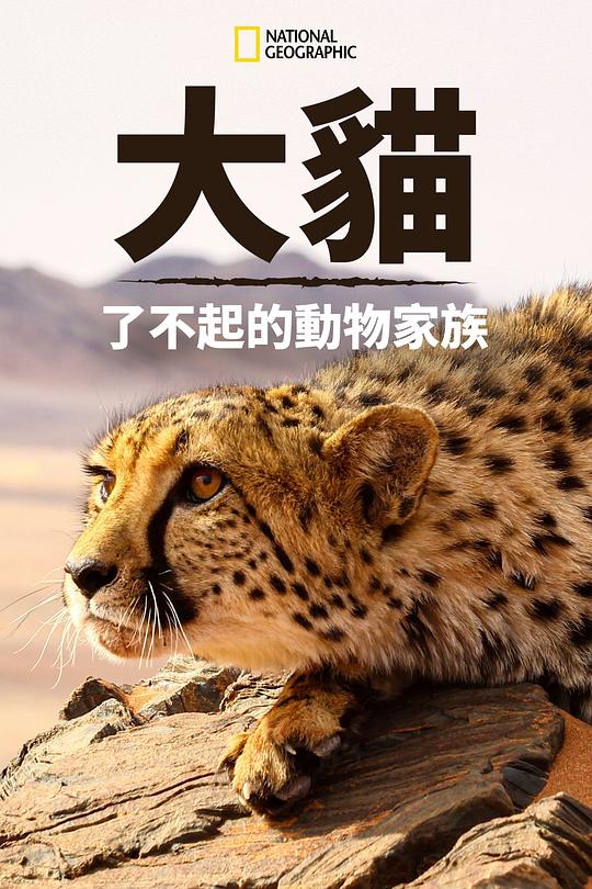 猫科动物：奇妙的动物家族Cats: An Amazing Animal Family(2015)插图%4K电影下载_3D影视资源_杜比视界迅雷下载