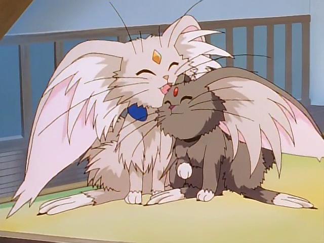 天地无用Tenchi Muyo(1995)插图1%4K电影下载_3D影视资源_杜比视界迅雷下载