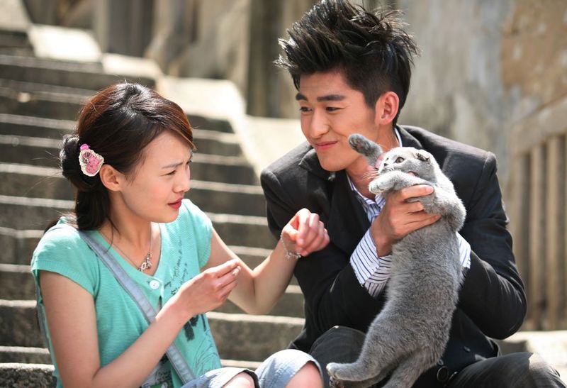 一起来看流星雨Yi qi lai kan liu xing yu(2009)插图2%4K电影下载_3D影视资源_杜比视界迅雷下载