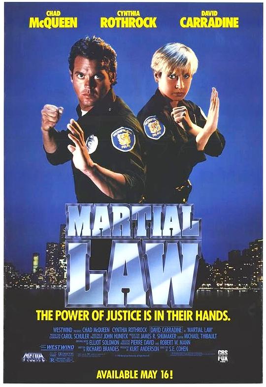 卧底飞龙Martial Law(1991)插图%4K电影下载_3D影视资源_杜比视界迅雷下载