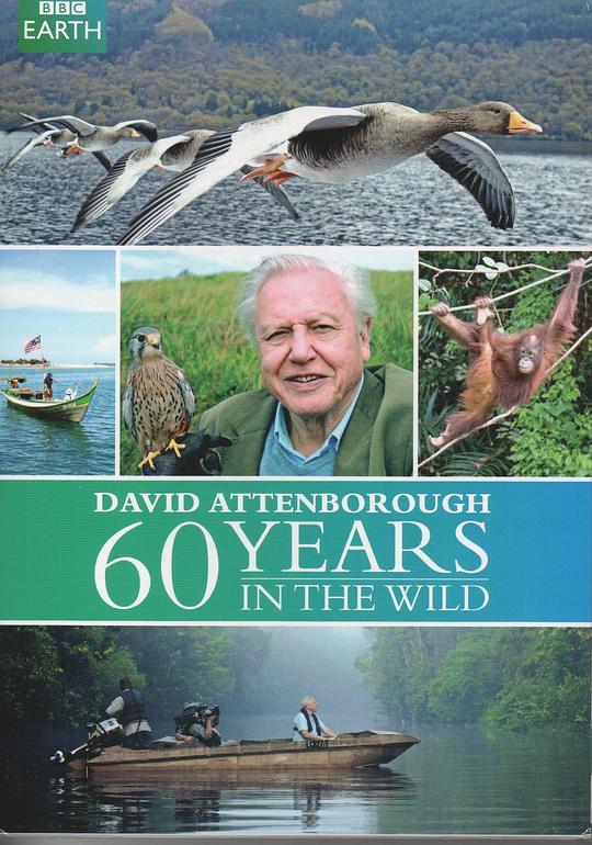 大卫爱登堡野外探索60年Attenborough: 60 Years in the Wild(2012)插图%4K电影下载_3D影视资源_杜比视界迅雷下载