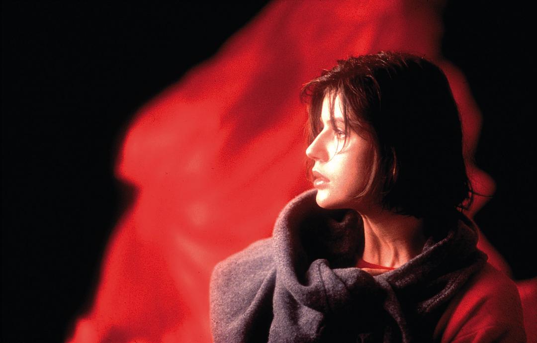 蓝白红三部曲之红Trois couleurs: Rouge(1994)插图2%4K电影下载_3D影视资源_杜比视界迅雷下载