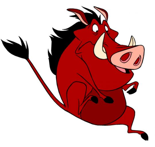 彭彭丁满历险记Timon & Pumbaa(1995)插图2%4K电影下载_3D影视资源_杜比视界迅雷下载